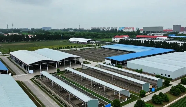在线课程课堂管理系统中常见问题及应对策略